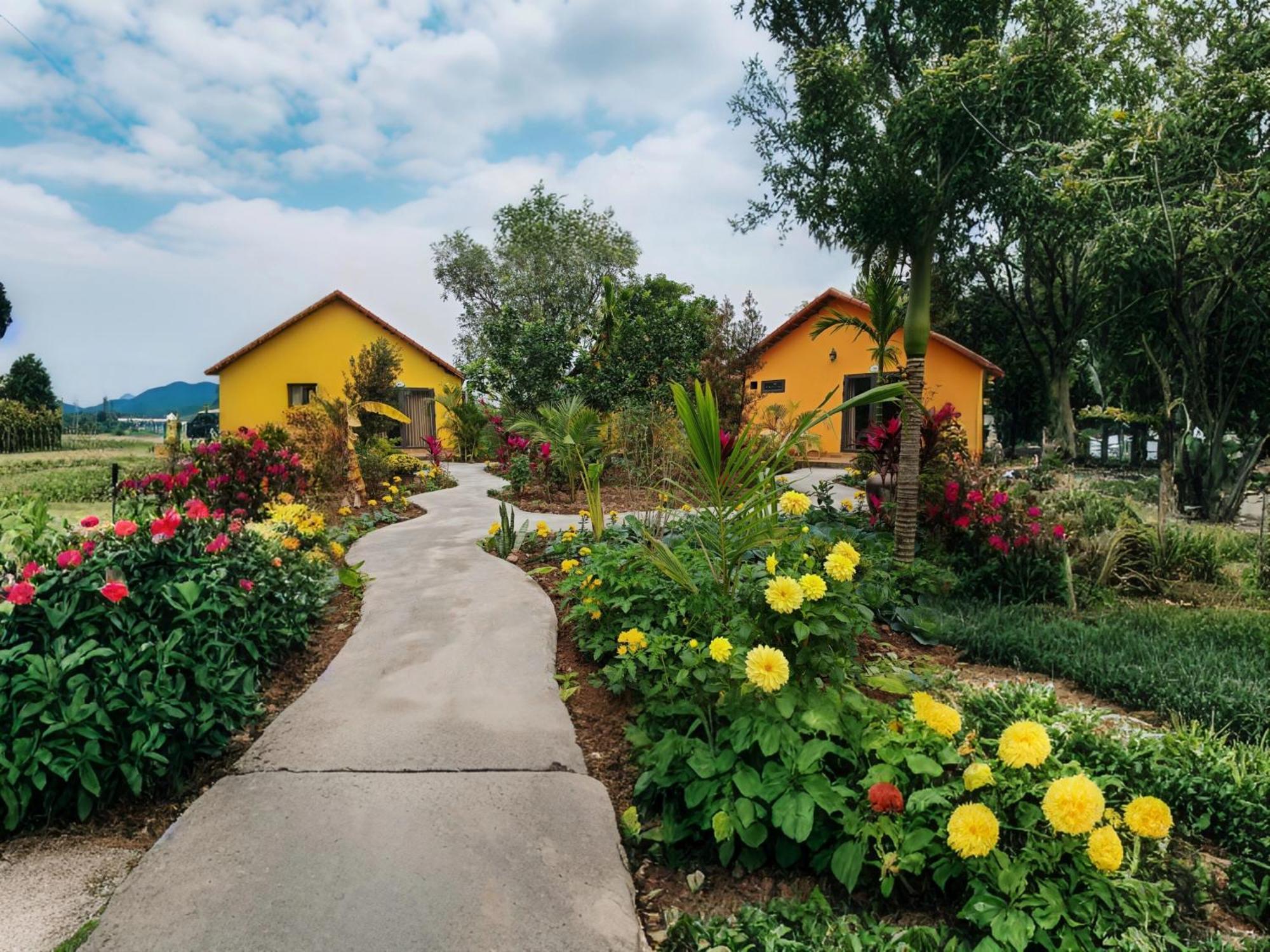 Ninh Binh Peaceful Retreat别墅 外观 照片