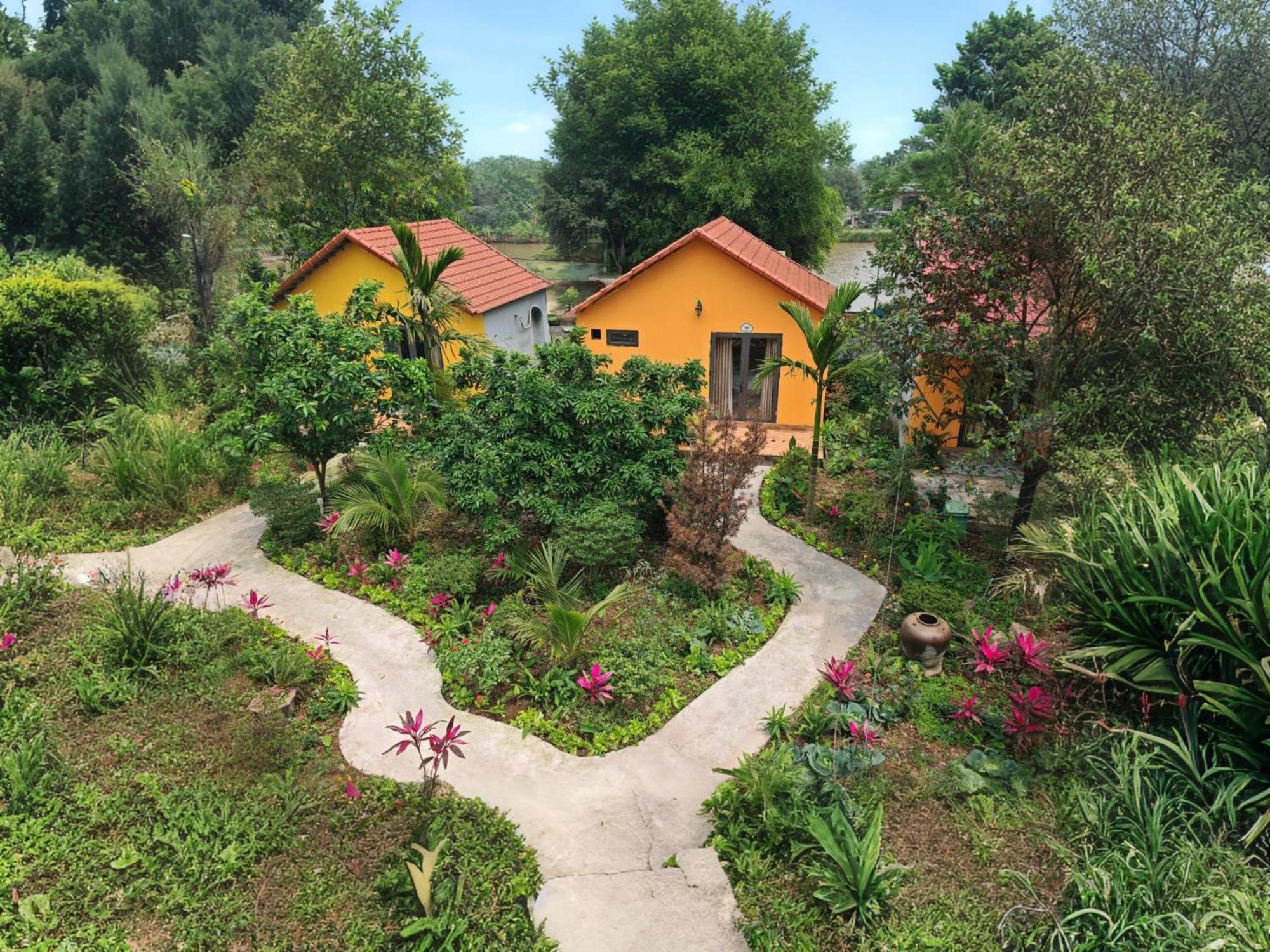 Ninh Binh Peaceful Retreat别墅 外观 照片